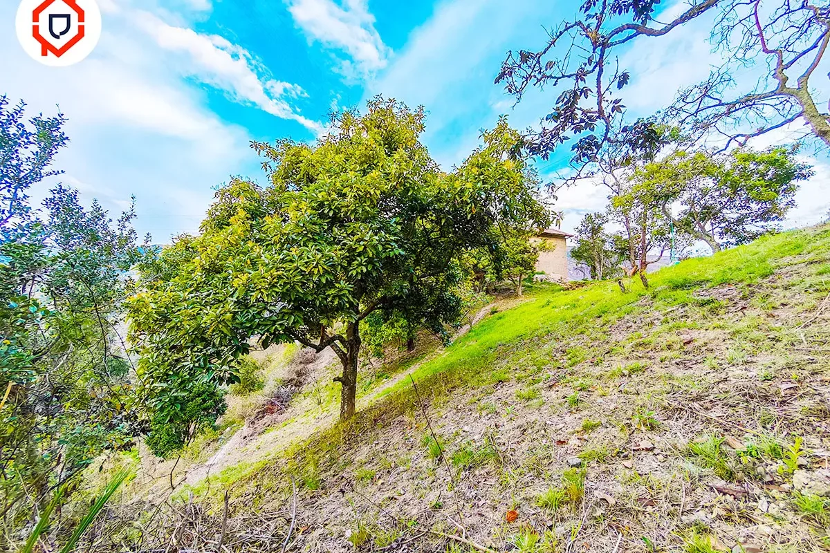 Terreno 1 hectárea con Casa antigua habitable en Paute