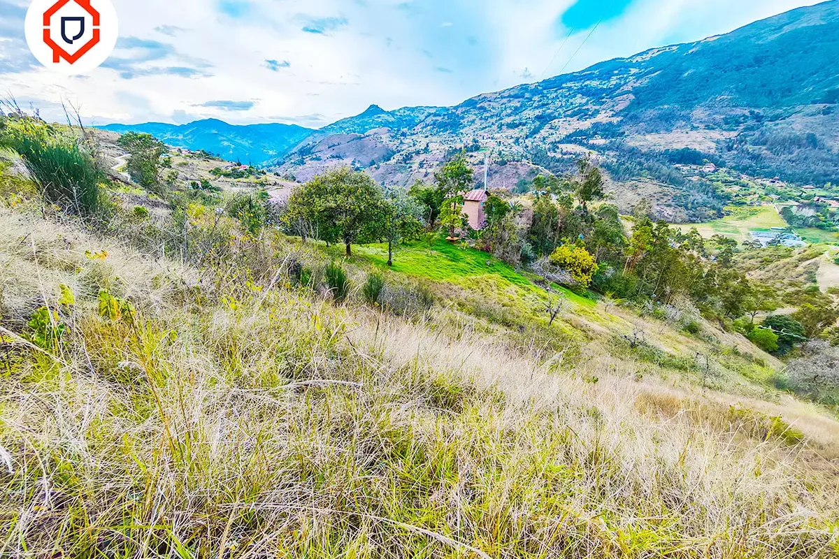 Terreno 1 hectárea con Casa antigua habitable en Paute