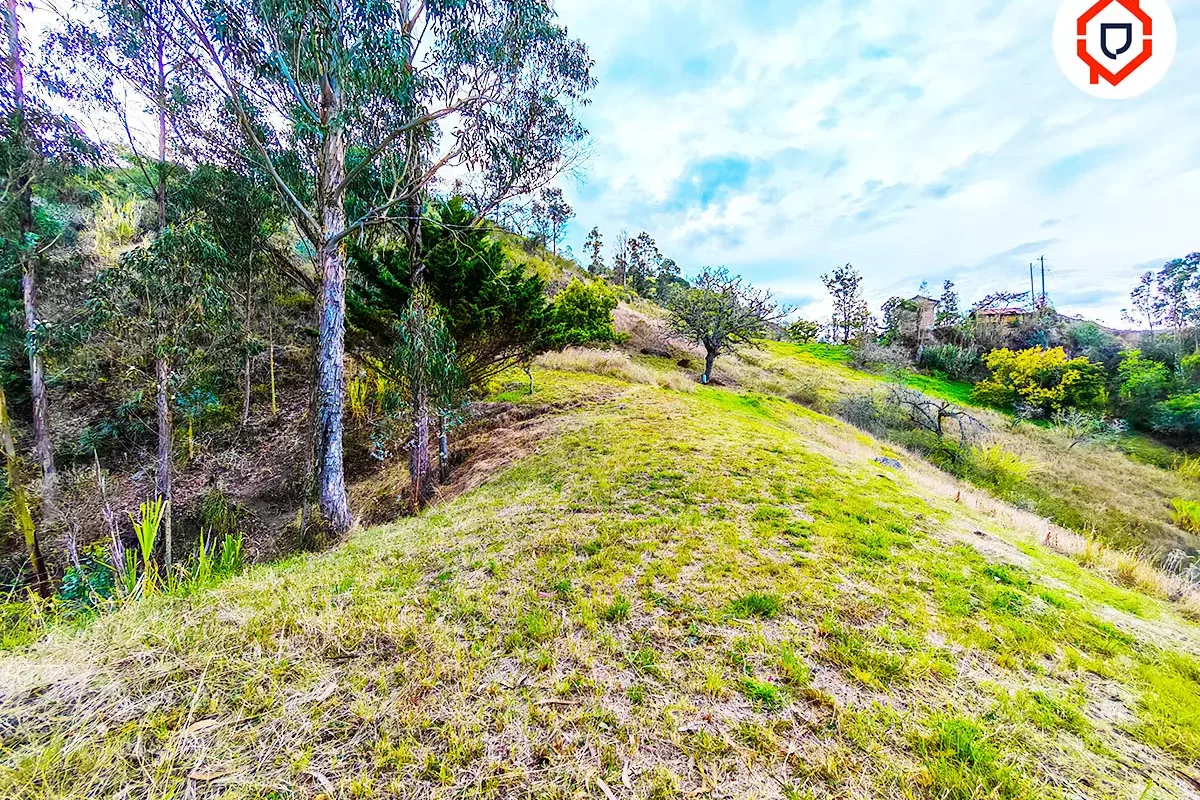 Terreno 1 hectárea con Casa antigua habitable en Paute