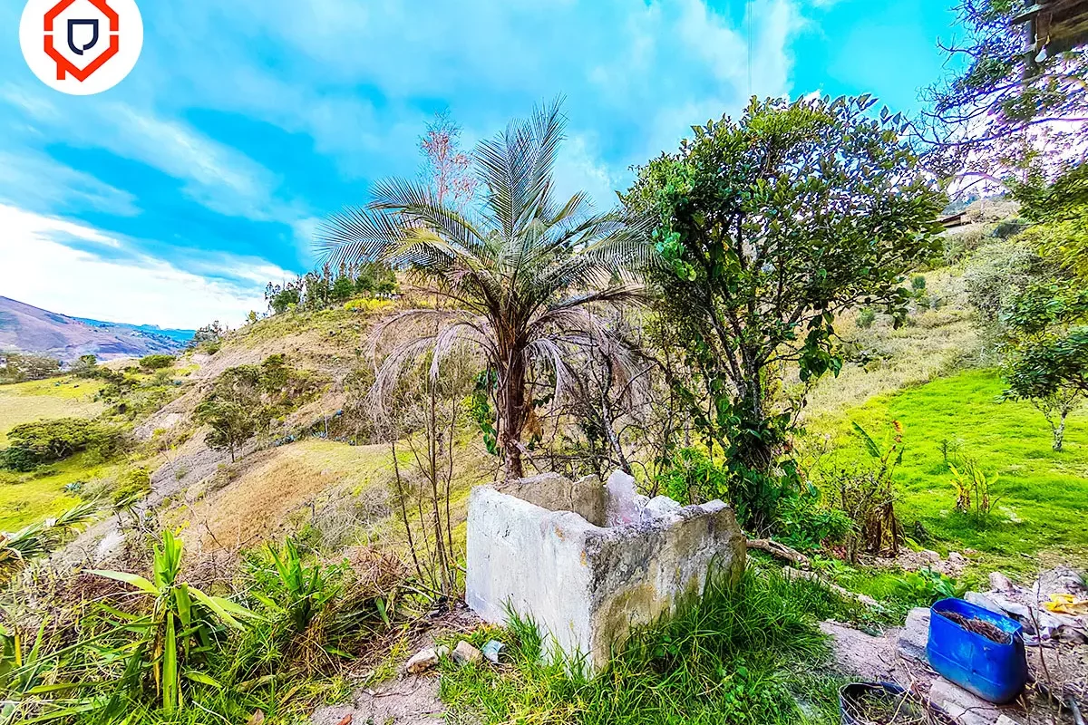 Terreno 1 hectárea con Casa antigua habitable en Paute