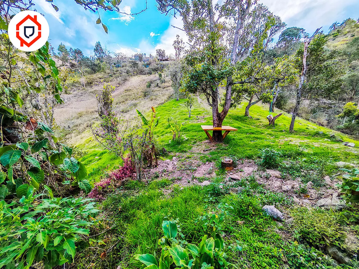 Terreno 1 hectárea con Casa antigua habitable en Paute